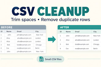 clean one small CSV file with python