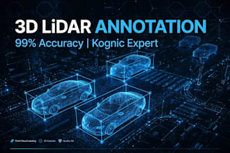 do 3d lidar point cloud annotation
