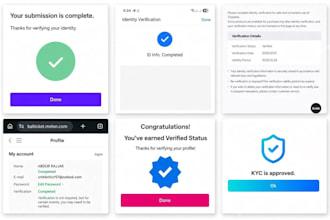 do kyc for any website apps and platform