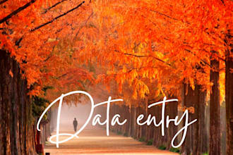professional data entry work
