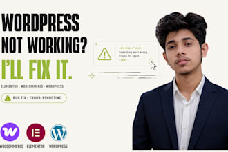 fix wordpress bugs errors and website problems