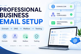 set up your domain and professional business email