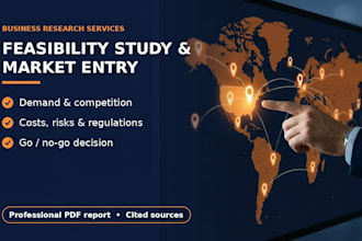 conduct a feasibility study and market entry analysis for your business