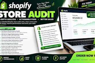 audit and optimize your shopify store