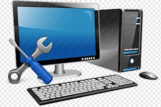 provide remote IT support for windows and software issues