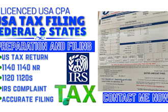 prepare, efile US tax returns, tax filing, 1040, llc for individual,business tax