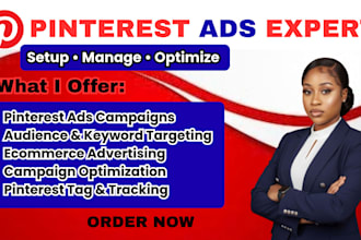 setup and manage pinterest ads campaigns for ecommerce and sales