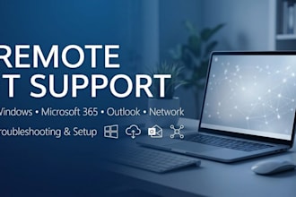 provide remote IT support