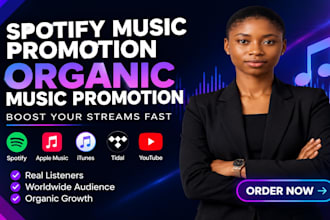 itunes music promotion spotify music promotion apple music tidal music youtube