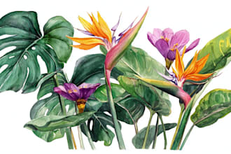 create beautiful botanical and floral illustrations
