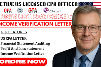 design proforma financial statement for you