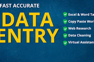 do professional data entry and copy paste tasks