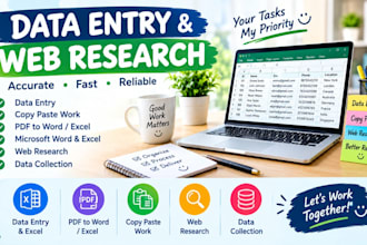 do accurate data entry, copy , paste and ms word ms excel