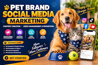 do pet brand social media marketing content creation video management promotion