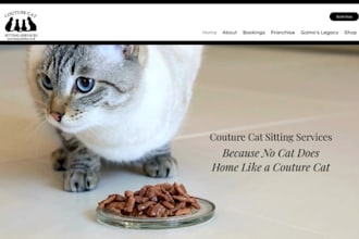 design wix cat sitting services website pet sitter website kitten care website