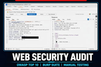 perform an owasp website security audit