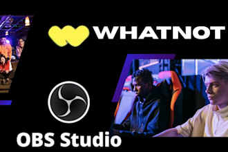 set up obs for professional whatnot live streams