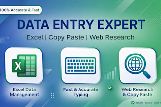 do data entry excel data cleanup and web research in 24 hour
