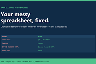 clean and standardize your messy excel or CSV data