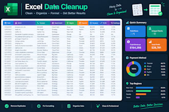 clean, format, organize and fix your excel spreadsheet data