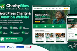 build a professional wordpress charity donation website