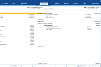 do professional tally bookkeeping, data entry, and prepare financial stat