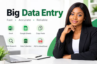 be your big data entry expert