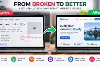fix HTML CSS and javascript website issues