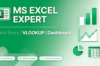 do data entry, copy paste, excel work in 2 hours