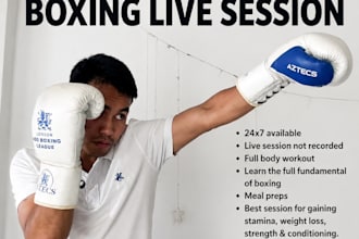 teach you how to punch and guide your overall fitness