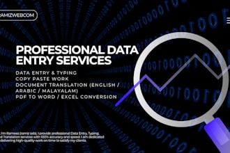 do professional data entry typing and translation