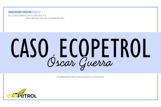 a professional canva presentation