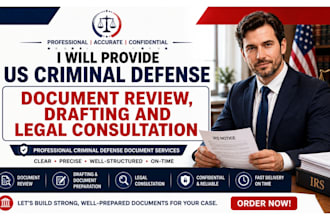 provide US criminal defense document review, drafting and legal consultation