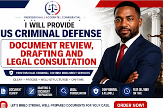 provide US criminal defense document review, drafting and legal consultation