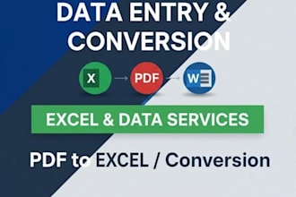 retype documents, data entry in excel, PDF scanned to word