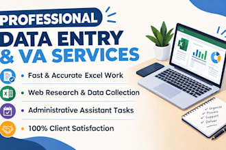do professional data entry, excel data entry