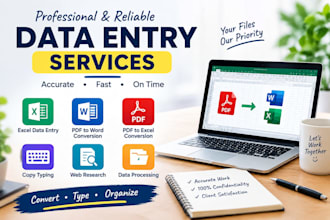 do accurate data entry, PDF to word and excel conversion