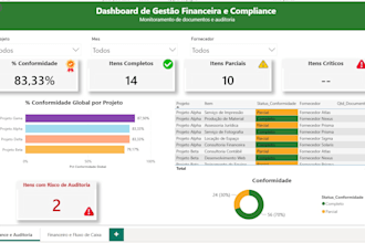 provide data analysis, KPI reporting and business insights