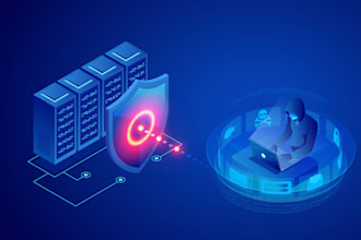 secure website security attack, VPN server attack, penetration testing security
