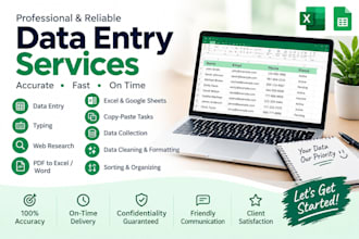 do accurate data entry, excel, web research and copy paste