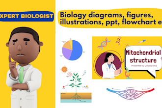 design biological diagrams, graphical abstracts, ppt, and infographics
