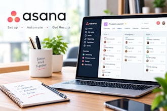 set up asana project management workflow and automation