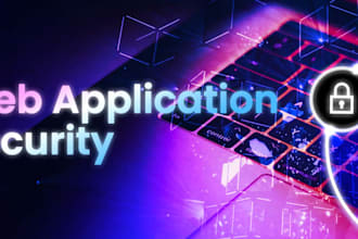 perform web application security audit
