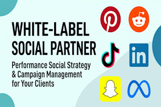 be the white label social media ads partner for your clients
