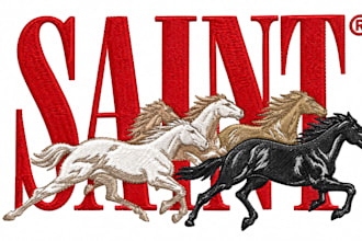 do embroidery digitizing, digitize image for embroidery pes dst emb file