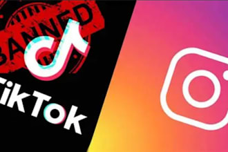 takedown harassing copyright ig fb x content, telegram banning, ig banning