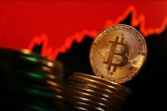 help you set up bitcoin wallet and learn crypto step by step