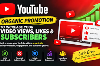 do youtube SEO and organic marketing for growth
