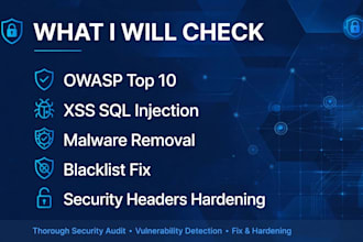 do website vulnerability assessment and fix security issues