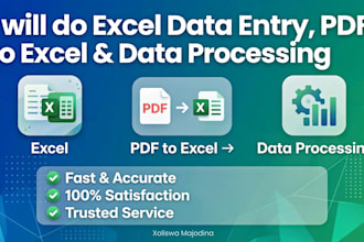do accurate data entry excel  typing  virtual  assistant work